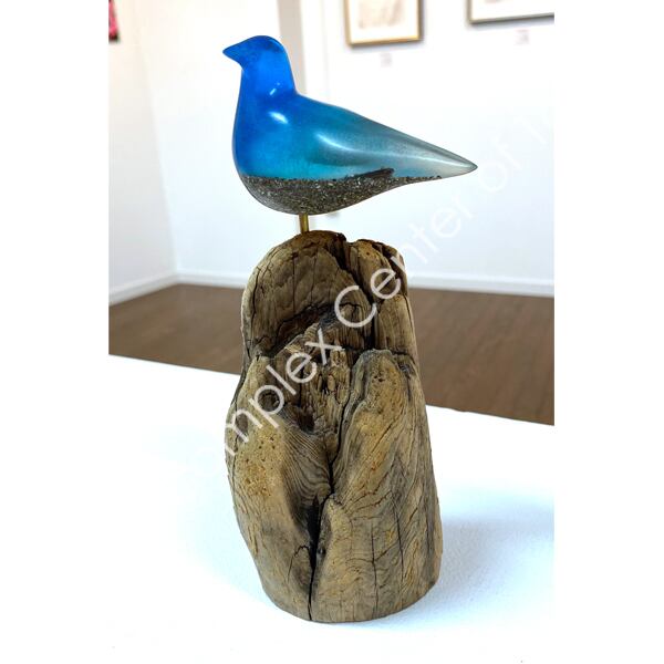 山田勇魚「漂流【カモメ】」-1