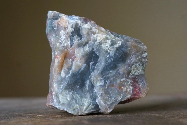 コプロライト ② Dinosaur Coprolites