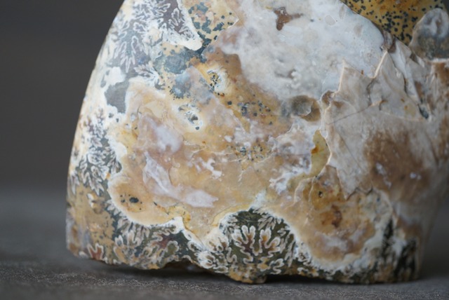 マダガスカル産アンモナイト化石 Ammonite Fossil 1253