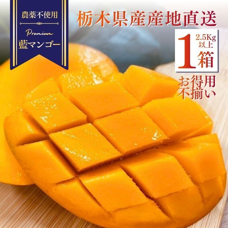 宮古島産 極上の逸品 完熟 アップルマンゴー2kg （4～5玉）15度以上