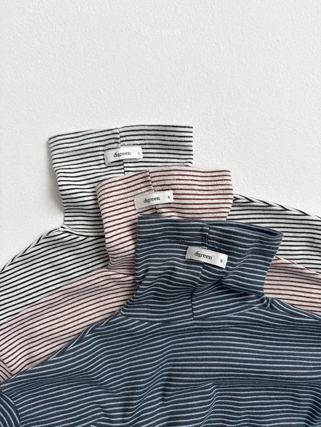 digreen25wn_Loose St Turtleneck