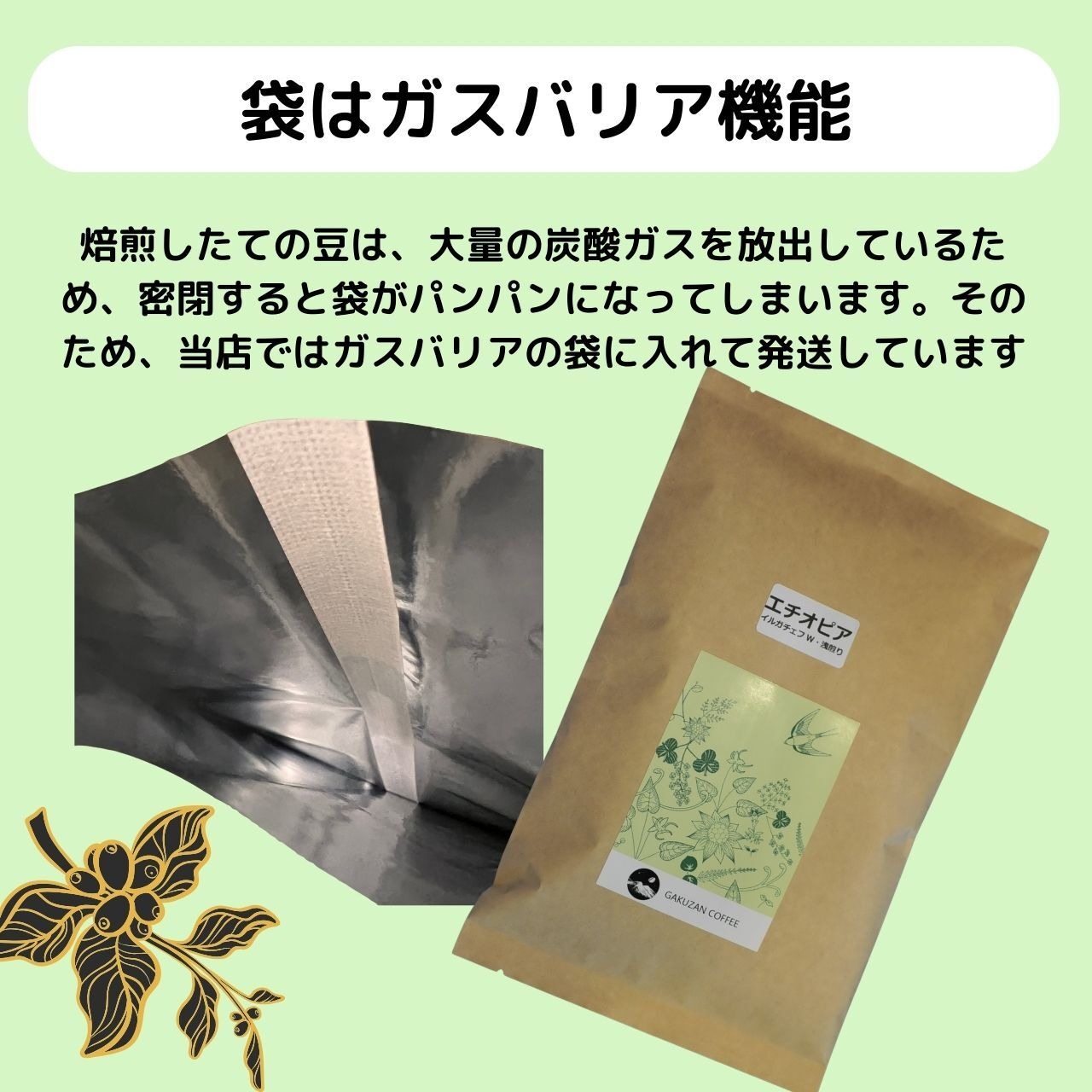 送料無料！いろいろセット・サブスク（粉ひき済み）
