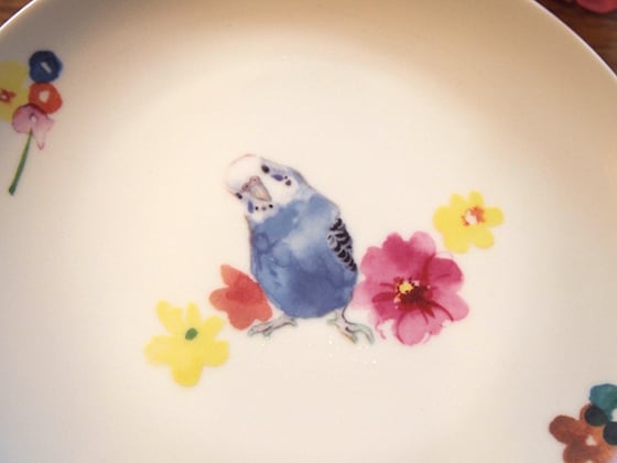 セキセイインコとお花 ブルー 大サイズ お皿 | TORINKO