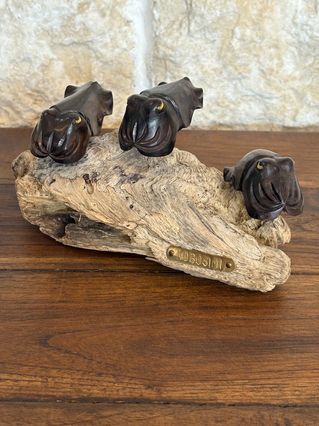 黒檀クブシミのオブジェ　(和名コブシメ)