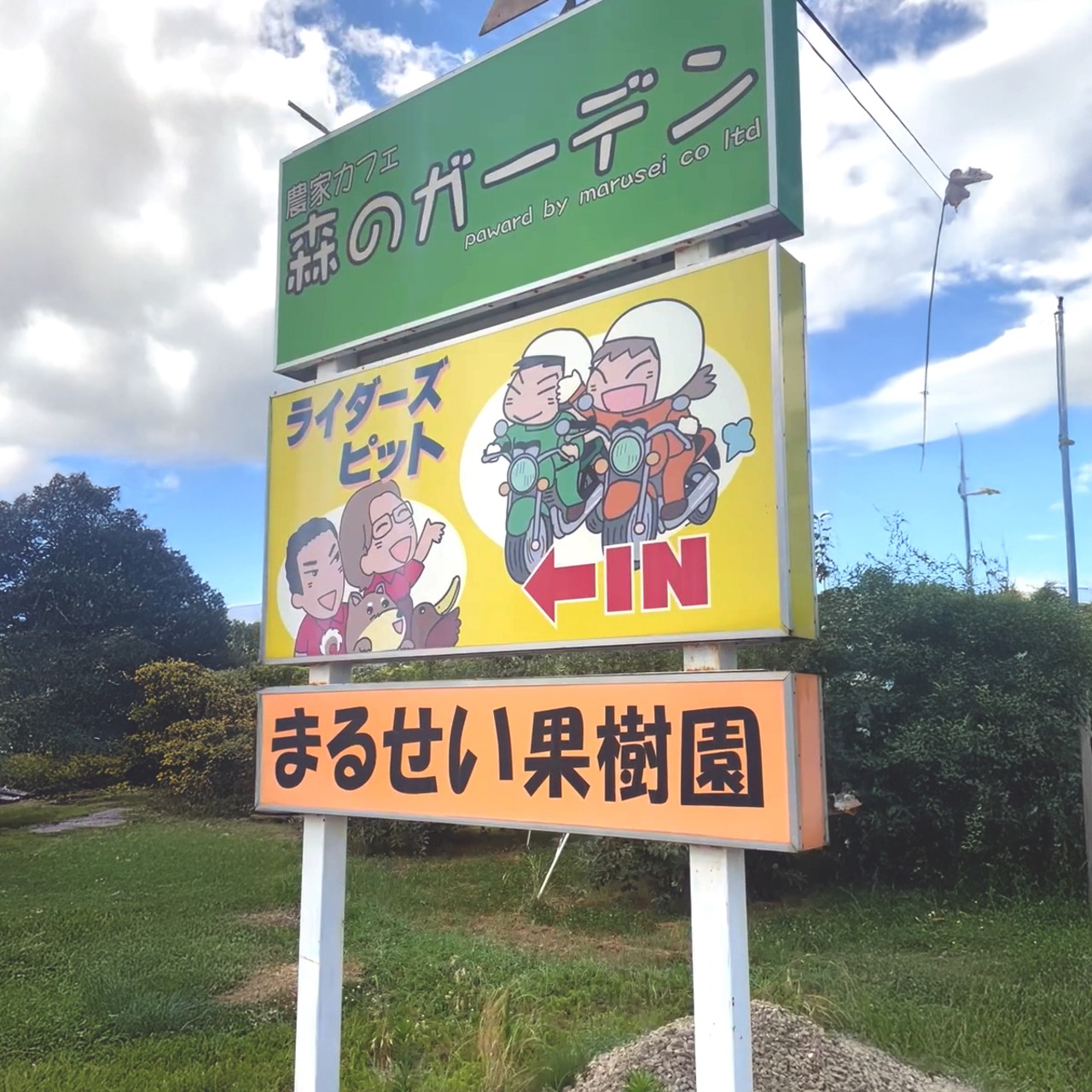 福島・まるせい果樹園の旬を贈る極上完熟桃ギフト【御贈答用】10個入り - 6