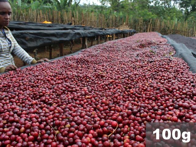 エチオピア | イルガチェフェ チェルチェレ ナチュラル | コーヒー豆100g