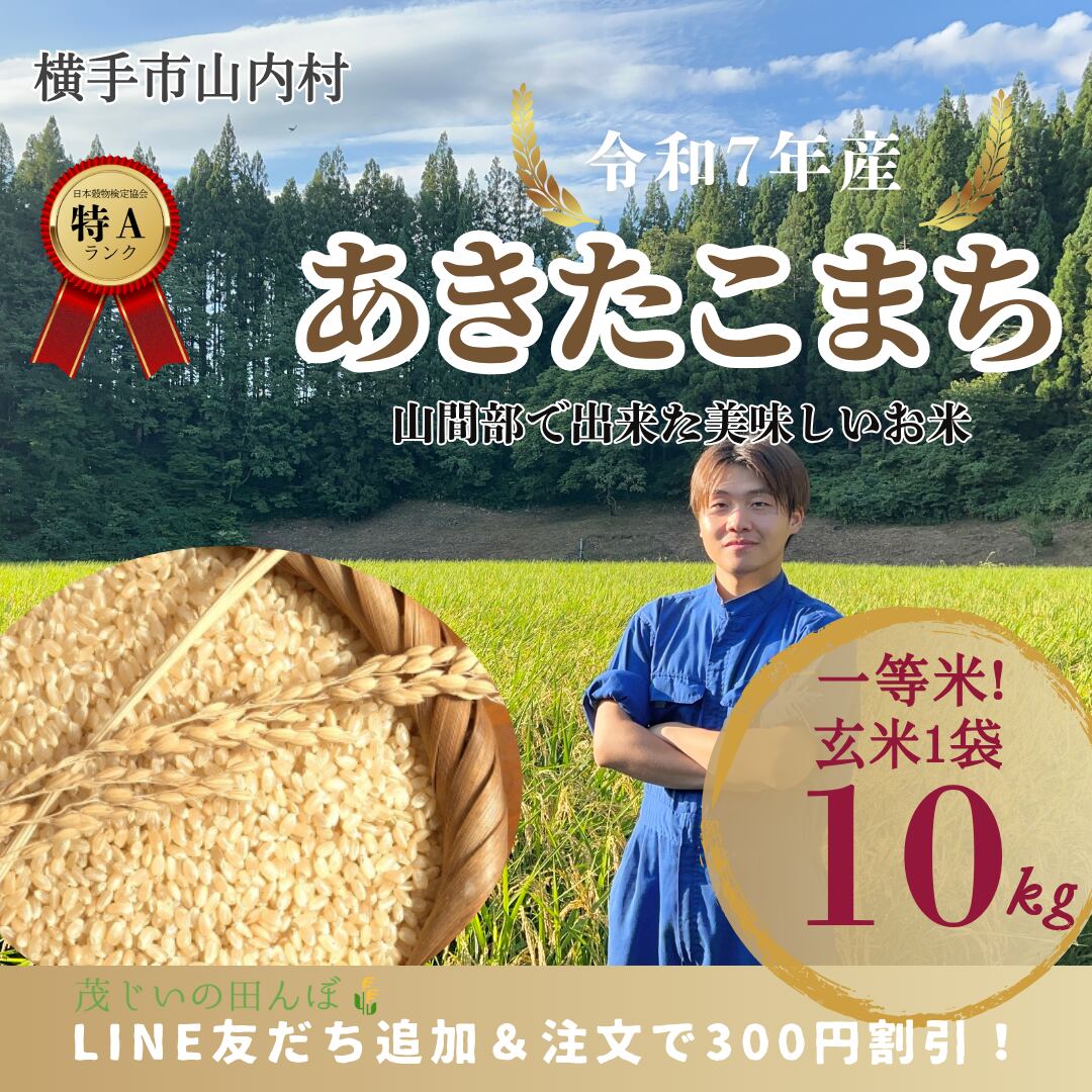 あきたこまち 米 10kg 玄米