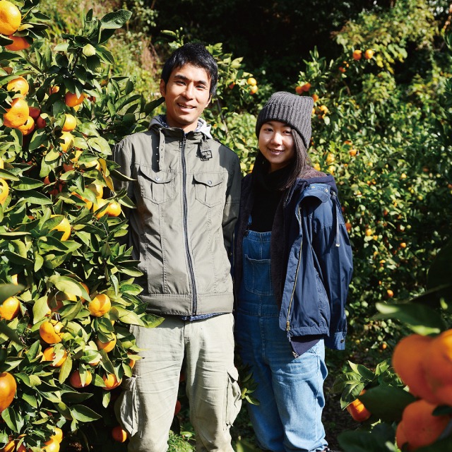 2026/1/1予約販売開始【5kg×2箱まとめて一括り1個口発送】蔵出し熟成みかん5kg×2箱