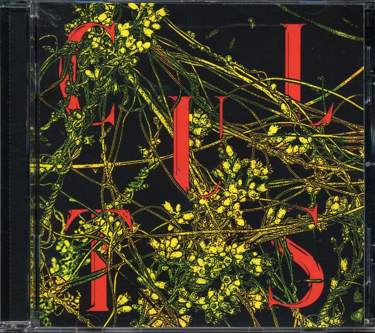 鈴木真海子 mukuge LP レコード 鈴木真海子 / mukuge(LP) | Pay ID