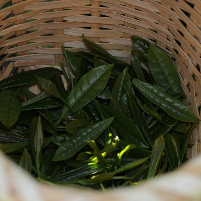 かぶせ茶 ｜ 70g