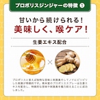 【単品】プロポリスジンジャースプレー（30ml）アルテピリンC グリーンプロポリス ブラジル産 はちみつ・生姜エキス配合 はちみつジンジャー風味 画像4