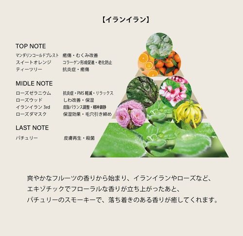 【3ヶ月に１度★定期便】ジビエオイル　奇跡の黄金比 サジー × ブロッコリー種子（天然シリコン）