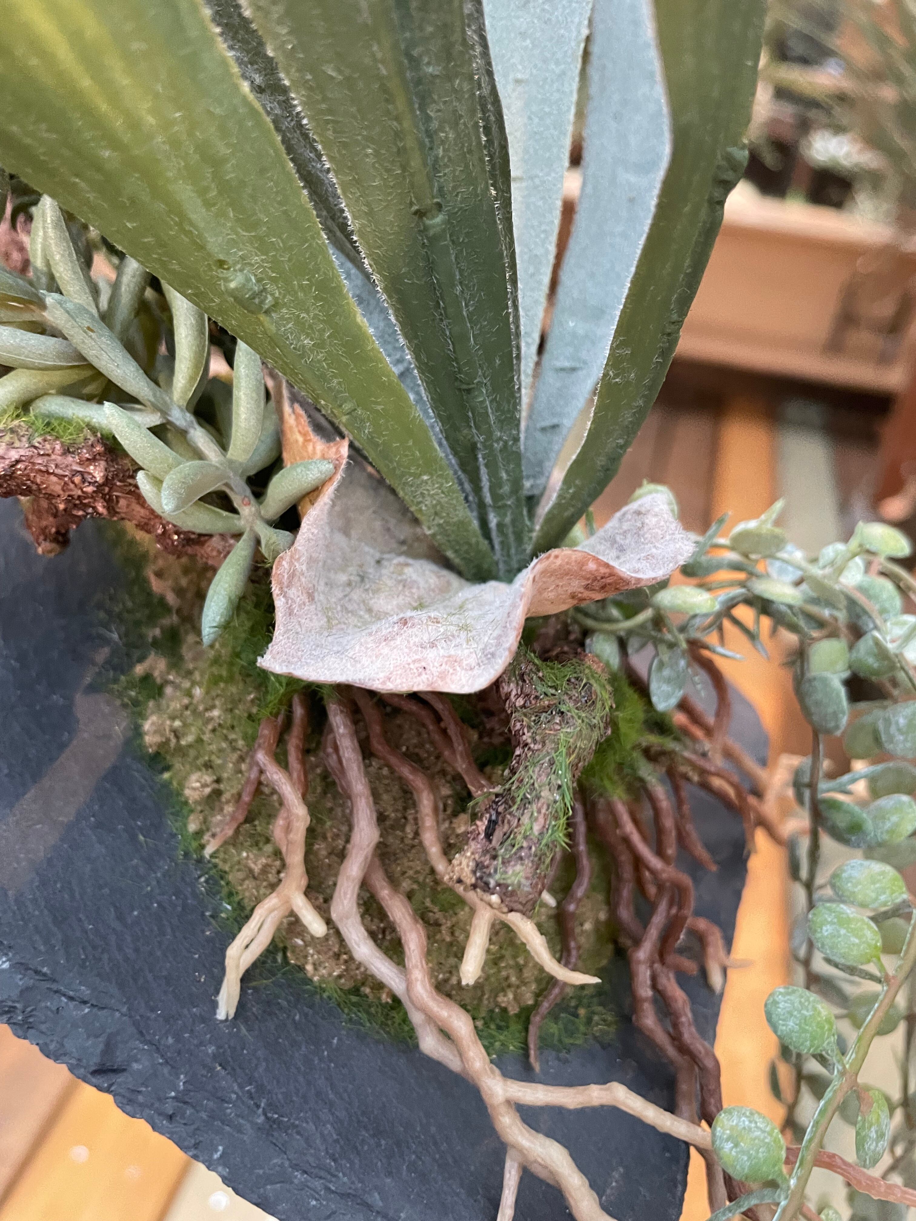 フェイクグリーン(人工観葉植物)】ビカクシダと多肉植物の壁掛け