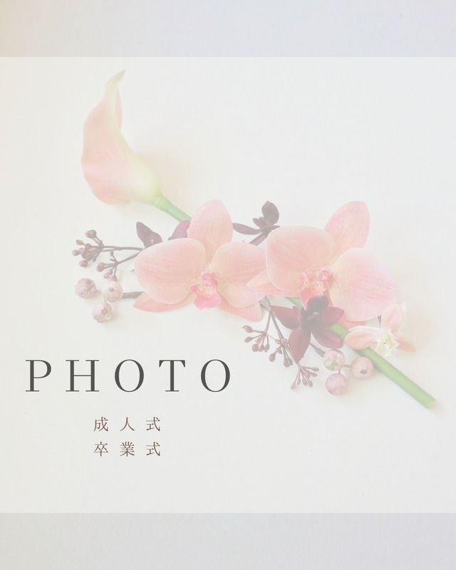 着用写真 / 成人式 . 卒業式