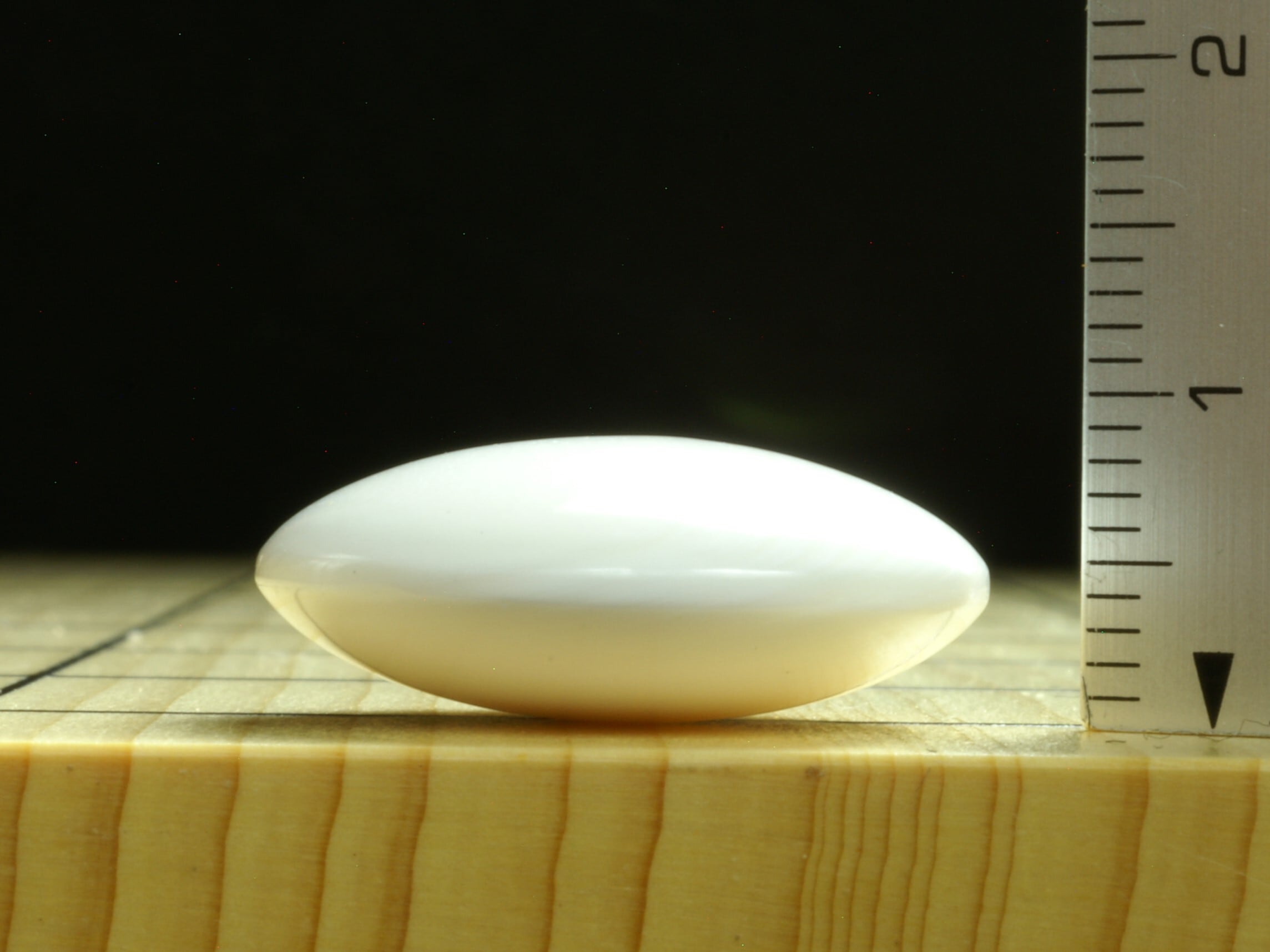碁石 蛤 実用 31号 GSS-13 | 永野碁盤店
