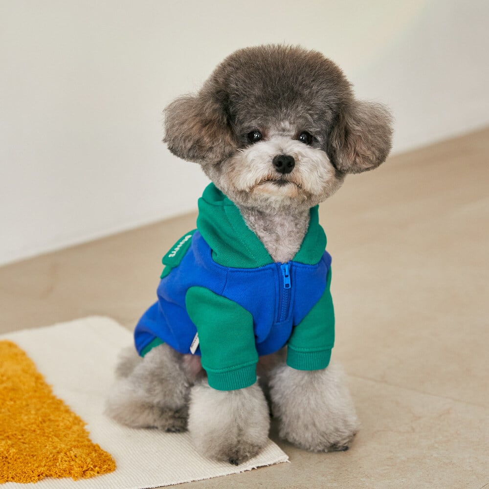 即納】プレイフードTシャツ BENNYS 韓国犬服 ドッグウェア | piccolino