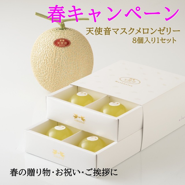 天使音マスクメロンゼリーギフト【送料無料】