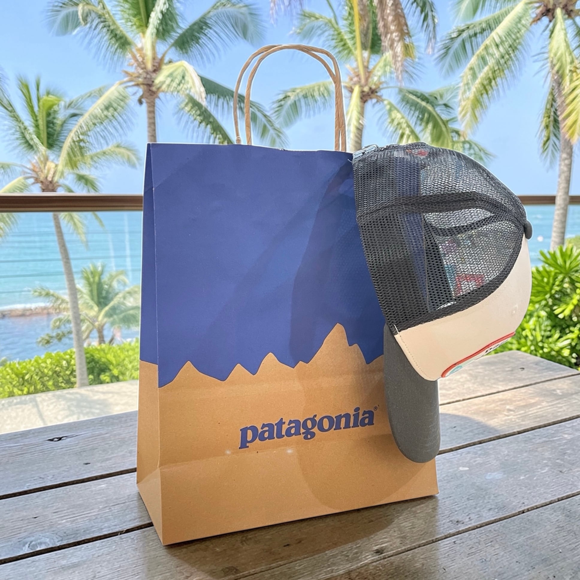 Patagonia】 パタゴニア 紙袋 ショッパー ショッピングバッグ ペーパー