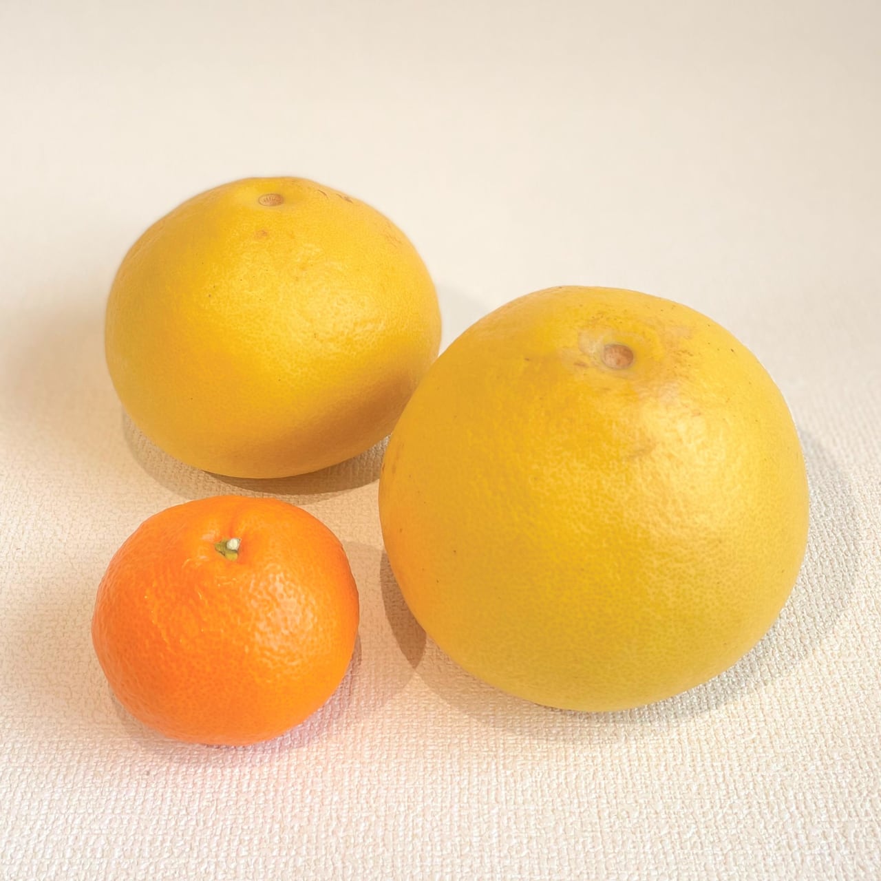 文旦 10㎏箱（3L：約19玉入） | 東商店・岡山の青果店