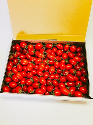 【期間限定】甘うま！きらめきトマトバラ売りM箱(約1.8kg入り)