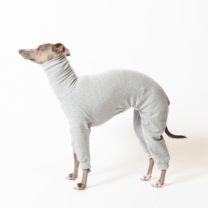 コットンロンパース2023　gray / イタグレ服