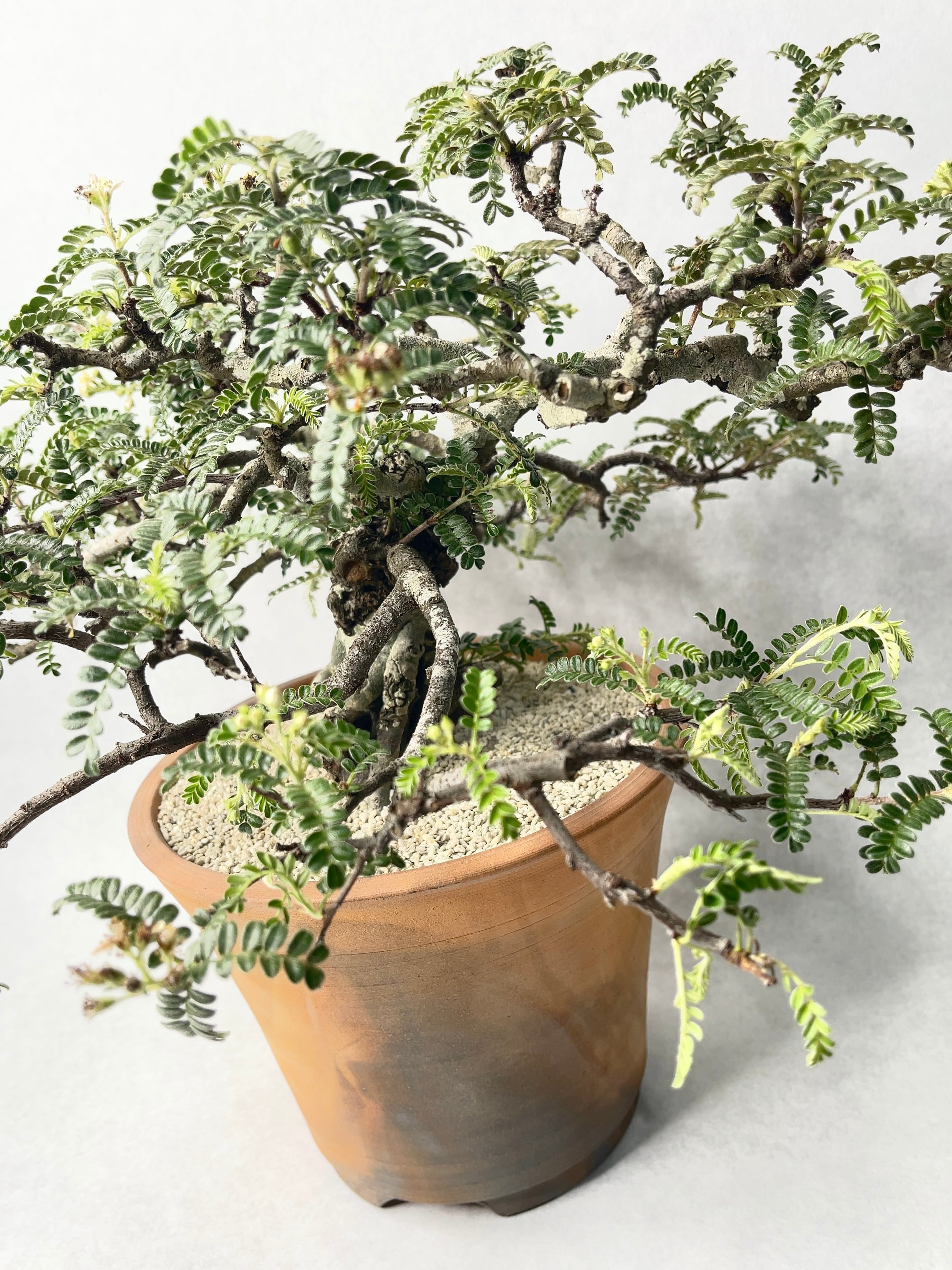 9126fb145c78acfab74752a79834d7