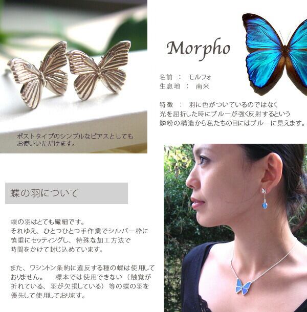 【Psyche】本物の蝶の羽　 モルフォ蝶 ピアス　Own*P（オウンピー）