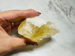 ペットの健康を守る