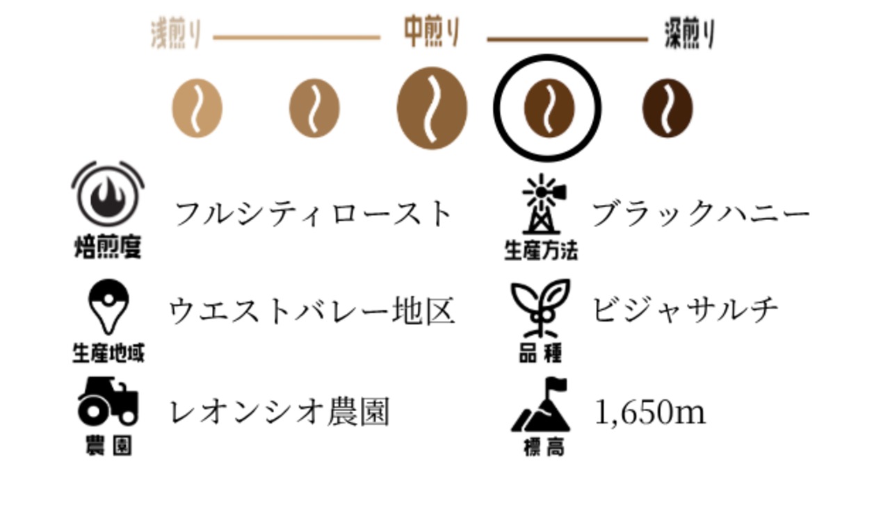 コスタリカ 200g エルバス ブラックハニー