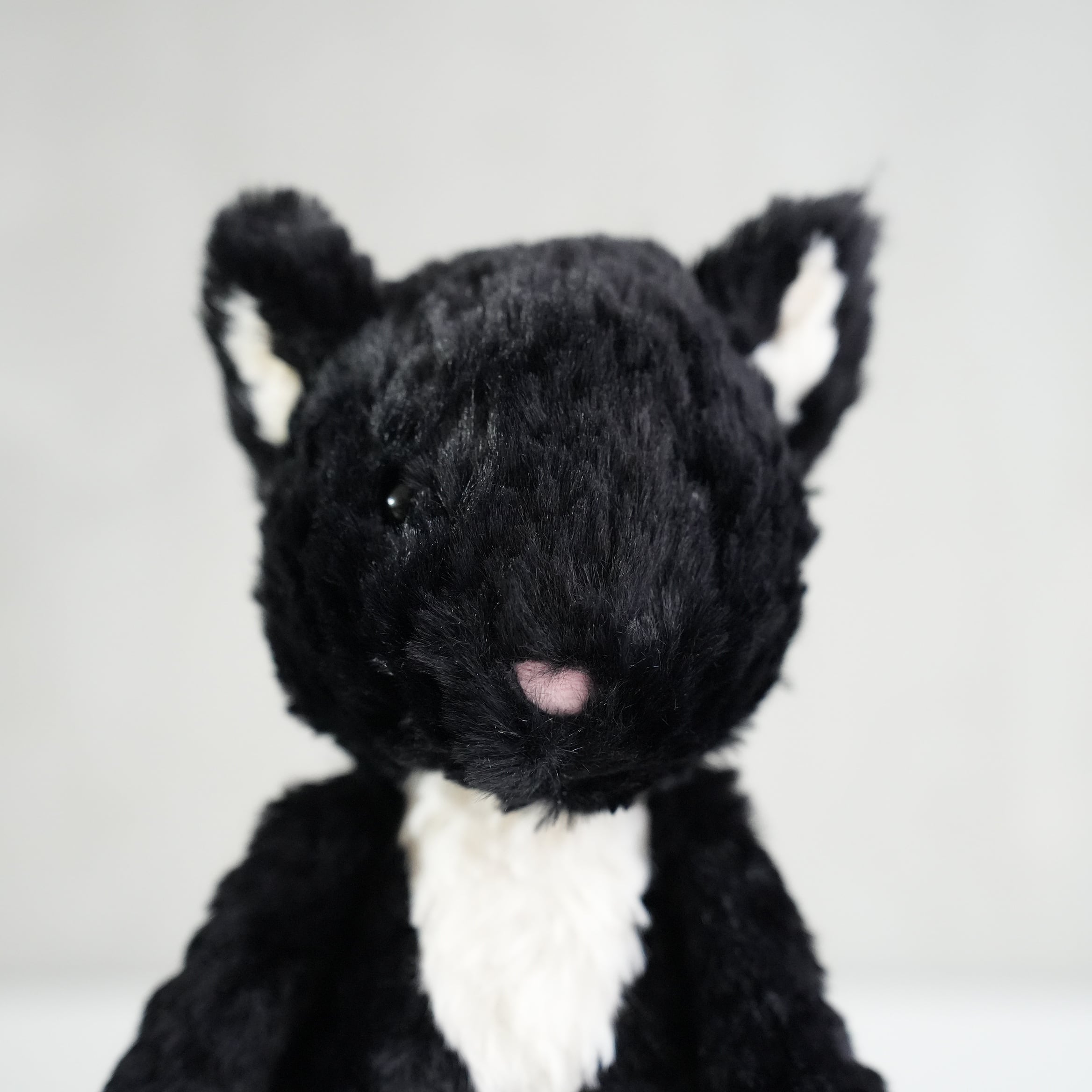 black and white jelly cat