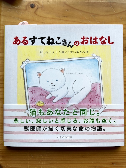 【１冊用】絵本「あるすてねこさんのおはなし」１冊