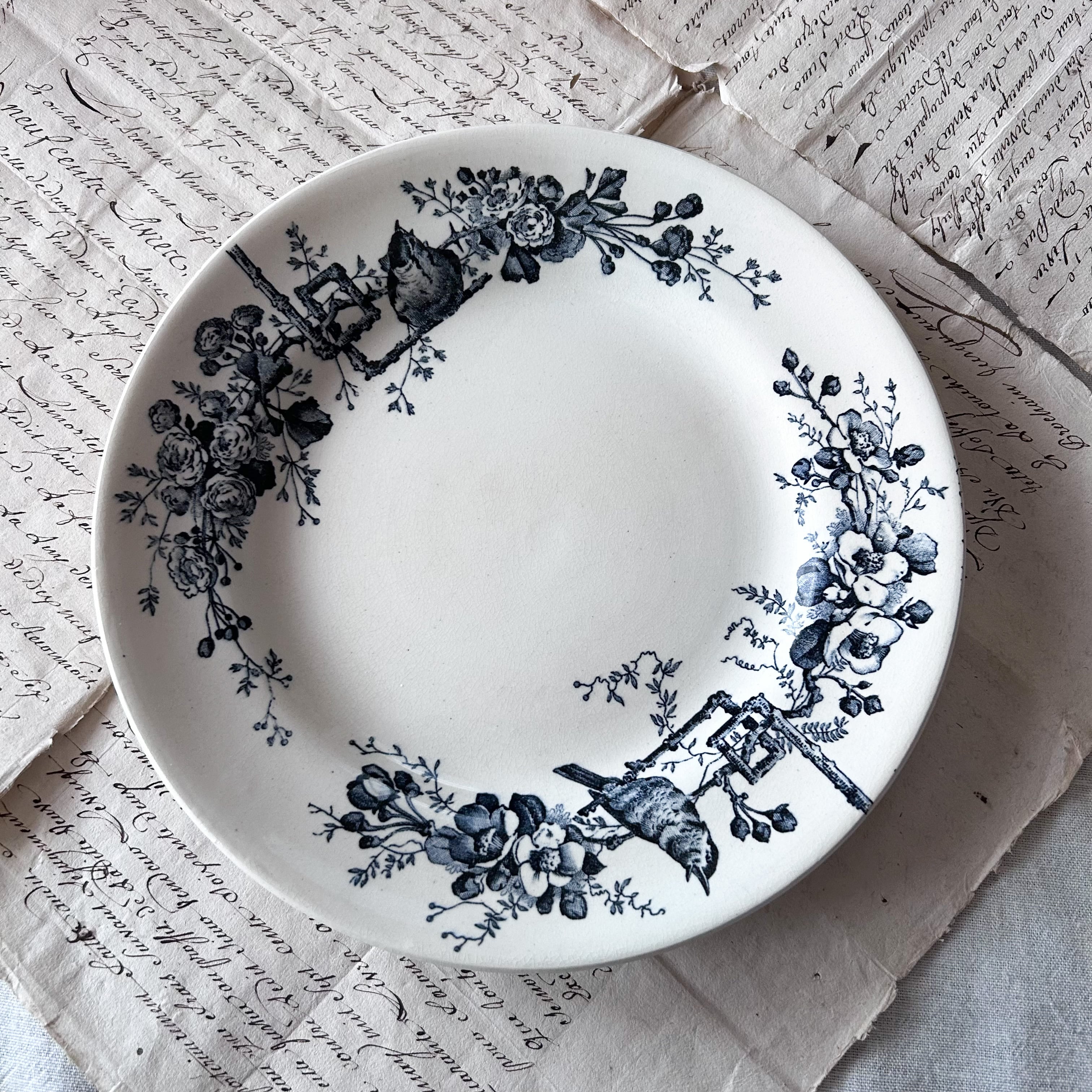 ｱﾝﾃｨｰｸ ﾎﾞﾝﾇ ｼｬﾝｽ