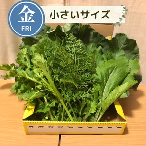 【11月6日（金）21時より受付開始】＜金曜日に収穫・発送＞【小さいサイズ】季節のお野菜セット