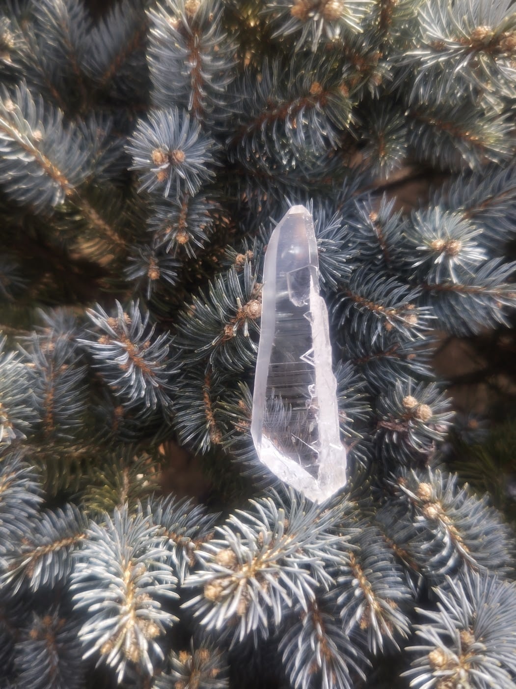 コロンビア水晶｜世界最高峰の透明度を誇るクリスタル | 日賀 Nichika