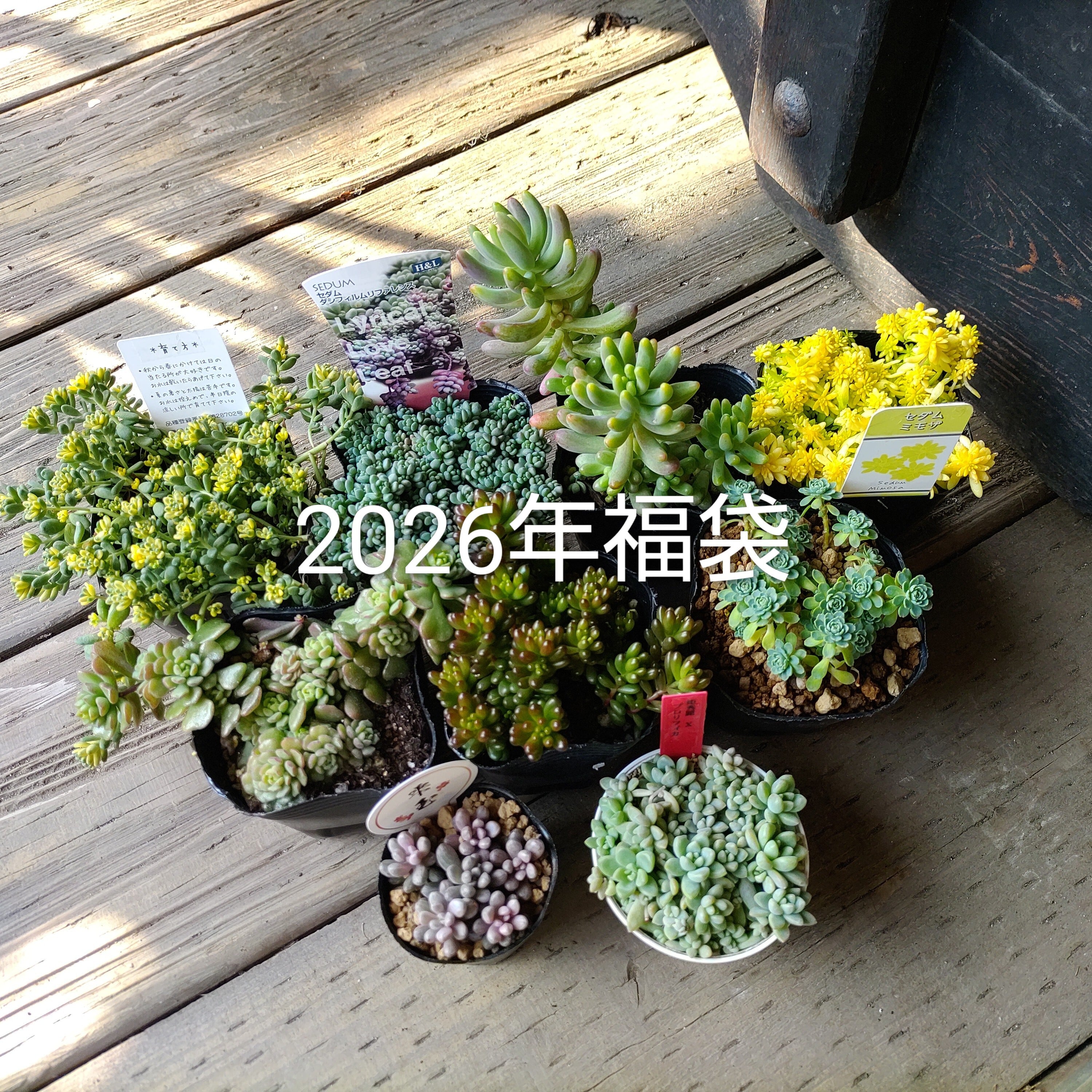 9139d6a795b1d0f6ea498d5273b375