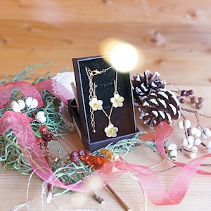 【11/21-24 LIMITED】クリスマスコフレ|2点セット