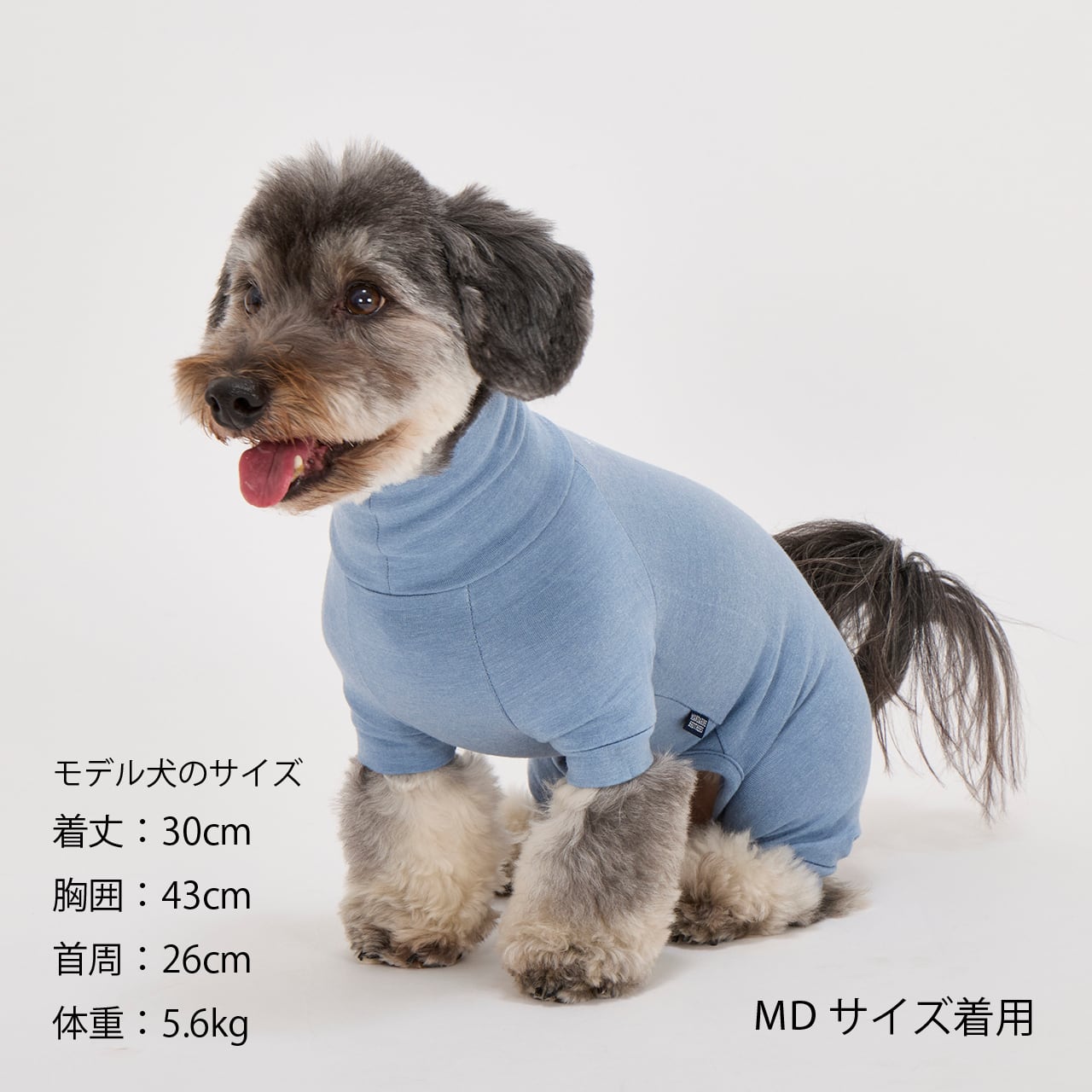 SKIN TIGHT SUIT（M.MD.L）スキンタイトスーツ | MANDARINE BROTHERS