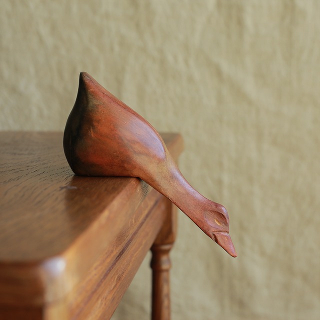 下をのぞきこむ、かわいいお尻の水鳥