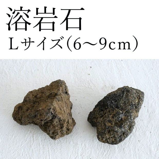 レイアウト用 石 | 苔テラリウム専門ショップ道草