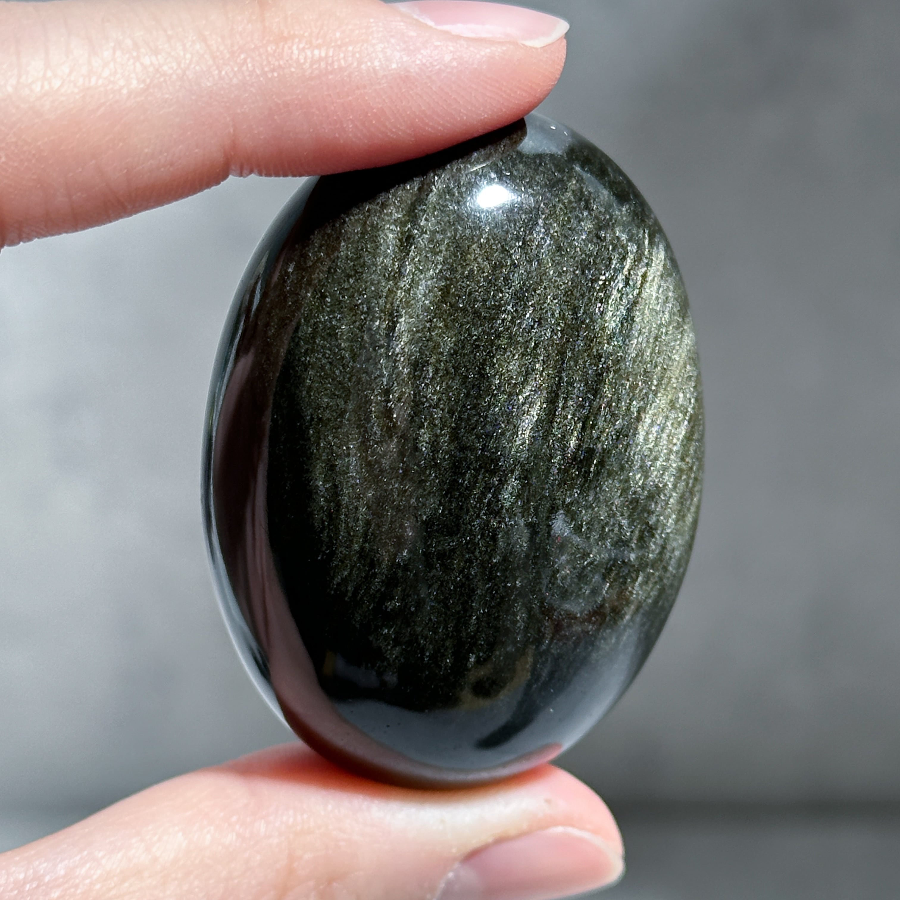 ゴールデンシーンオブシディアン パーム12◇Goldensheen obsidian