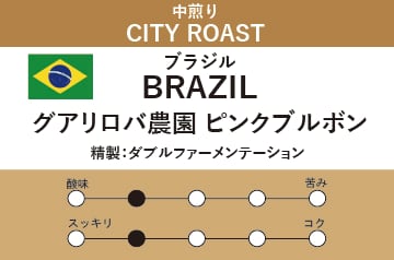【ブラジル】グアリロバ農園 ピンクブルボン ダブル・ファーメンテーション(中煎り)