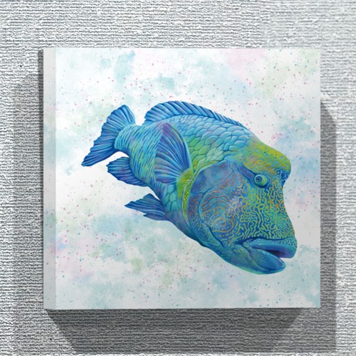 【ファブリックパネル／30×30cm】ナポレオンフィッシュ