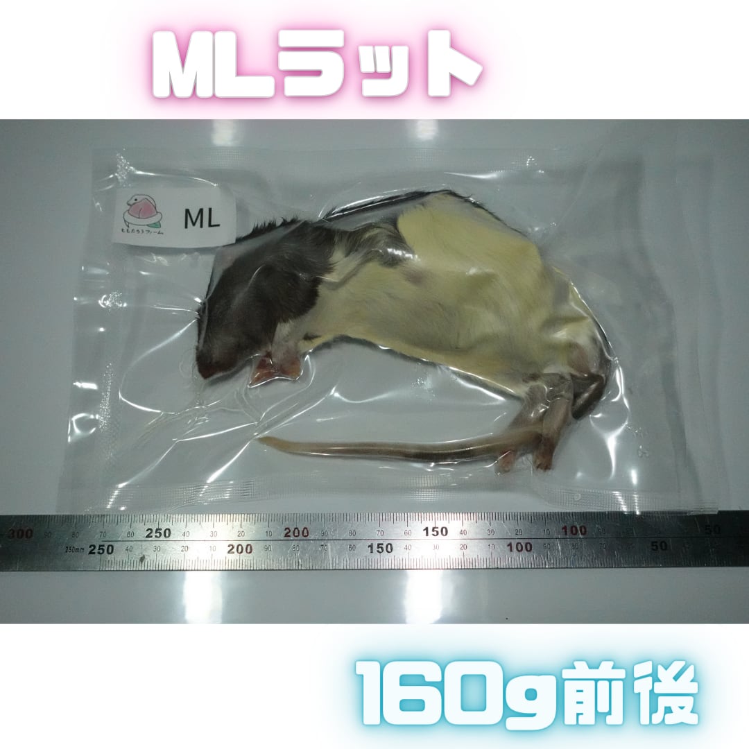ヤワゲネズミ 冷凍餌 各サイズ-