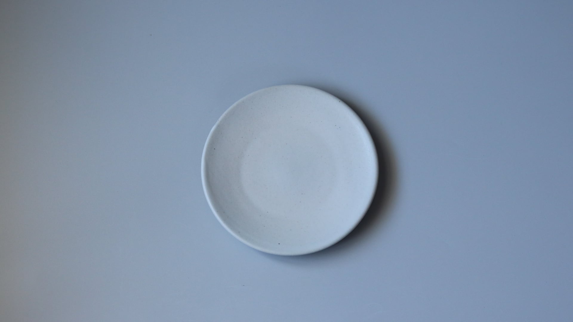 丸皿 5寸 白