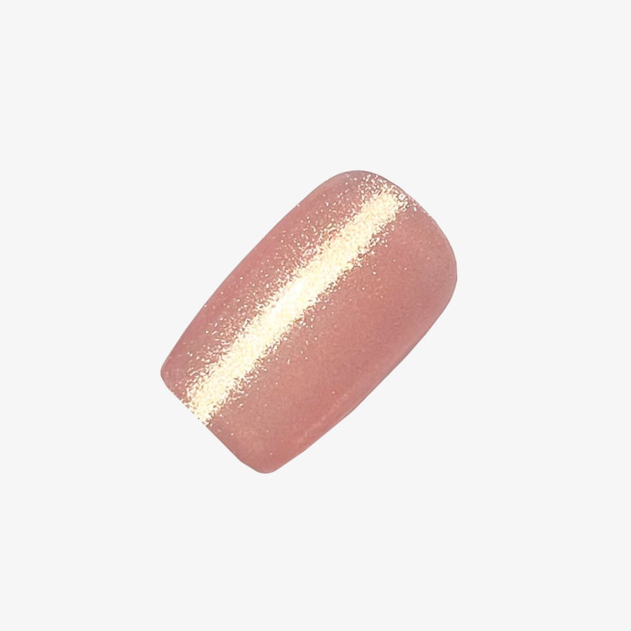 ANCLEF 001RM | morecouture