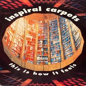 【12INCH】INSPIRAL CARPETS/This Is How It Feels