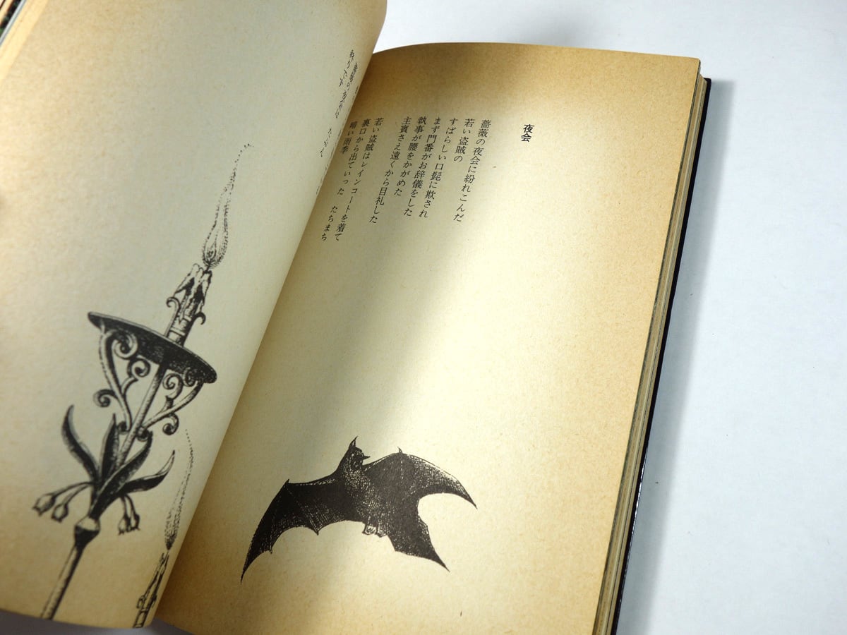 薔薇幻視（中井英夫 著）- 平凡社カラー新書13 | bookstore ナルダ
