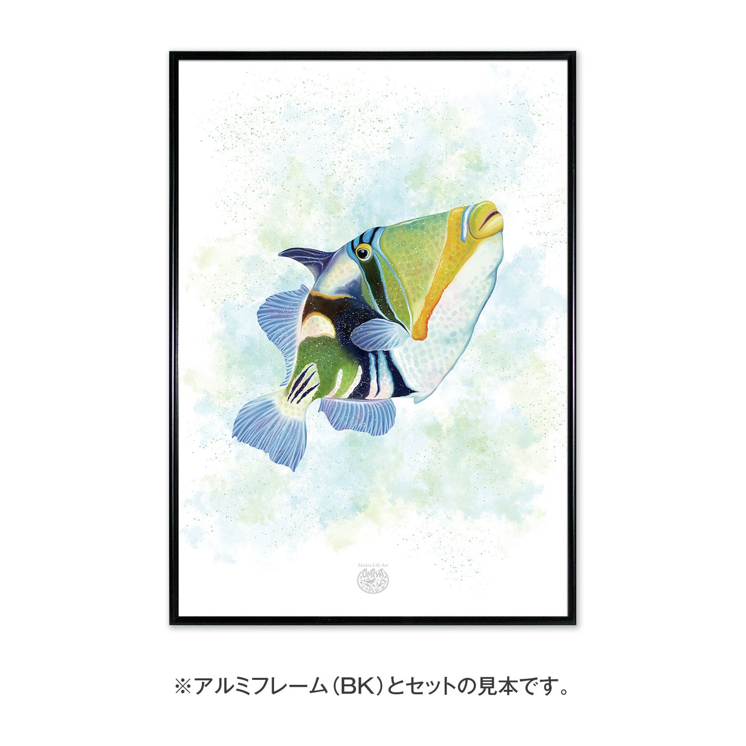 THE CURE 海外版かもの物　　見本 海のいきものアートポスター／魚】ムラサメモンガラ | UMIYA（ウミヤ）