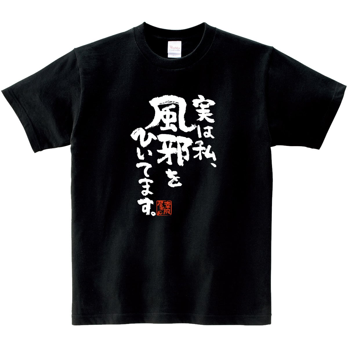 実は私、風邪をひいてます。 漢字Tシャツ ka400-92 ウィルス 勘違い 批判 対策 アピール