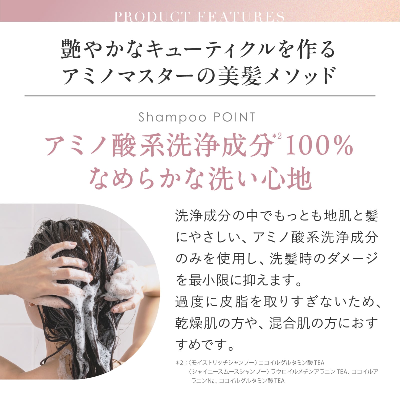 モイストリッチシャンプー 10本セット アミノマスター モイストリッチシャンプー 500mL #83374 | アミノ